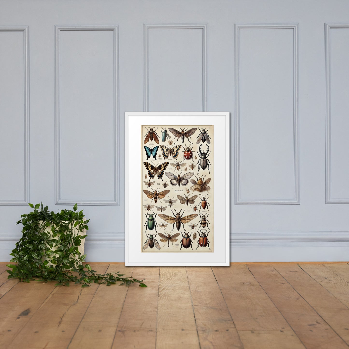 poster cadre blanc insecte