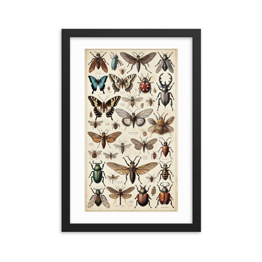 poster cadre noir insectes